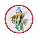 ANGELFISH 1