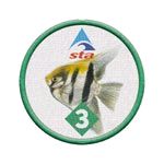 ANGELFISH 3